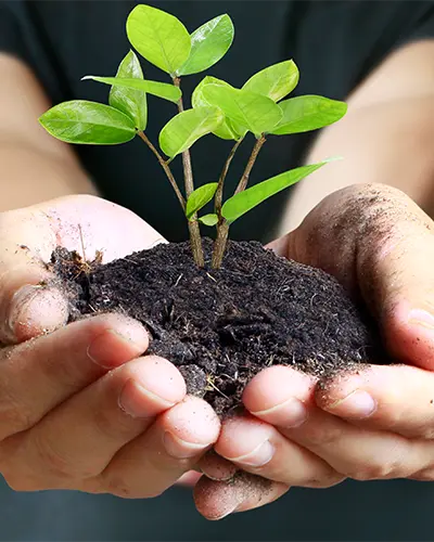 foto-ambiental